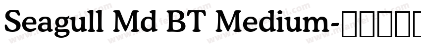 Seagull Md BT Medium字体转换